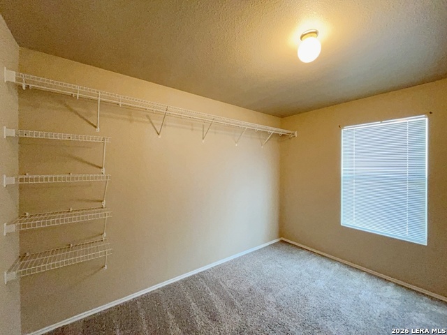 101 Willow Hill Property Photo 28