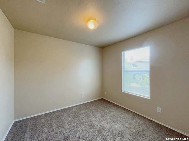 101 Willow Hill Property Photo 35