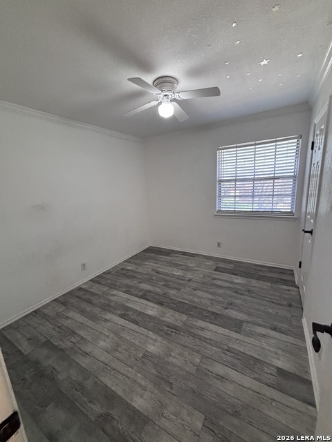 9140 Timber Path Property Photo 8