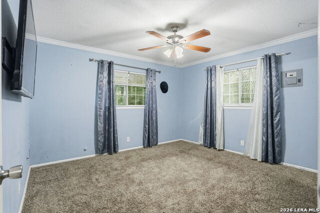 1015 Cibolo Trl Property Photo 14