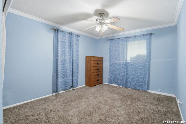 1015 Cibolo Trl Property Photo 17