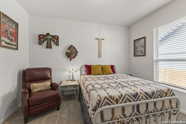 5802 Reagan Property Photo 19