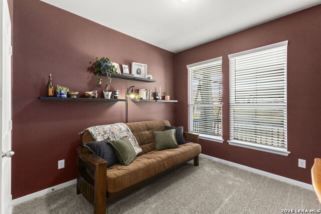 5802 Reagan Property Photo 22