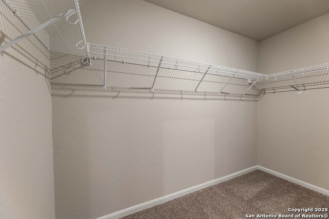 1120 Eagle Crossing Property Photo 16