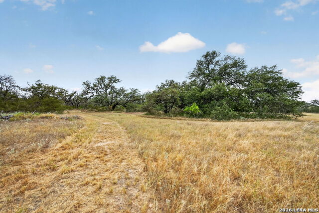 8651 W Fm 476 Property Photo 1