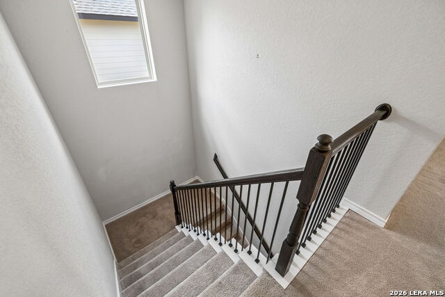 8624 Dove Pass Property Photo 25