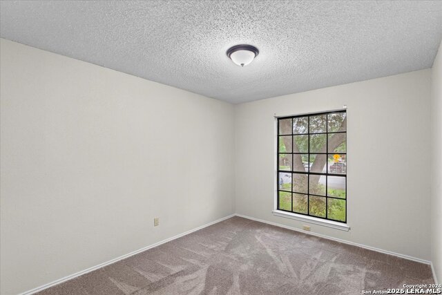 7733 Forest Property Photo 13