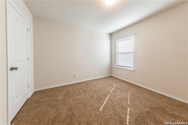 117 Dylan Dr Property Photo 9