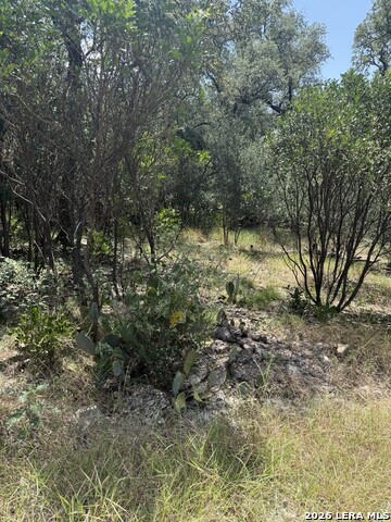 13518 Deer Meadow Ln Property Photo 6