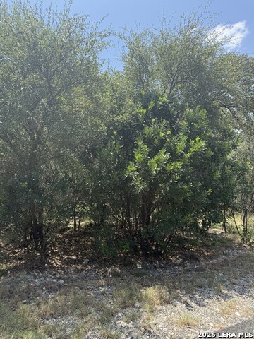 13518 Deer Meadow Ln Property Photo 7