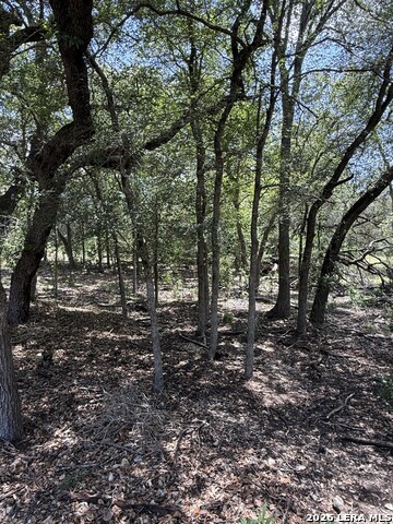 13518 Deer Meadow Ln Property Photo 9