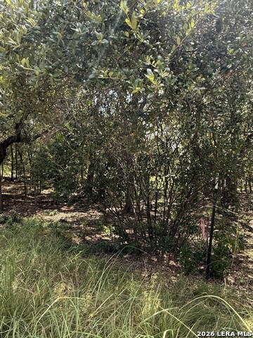 13518 Deer Meadow Ln Property Photo 10