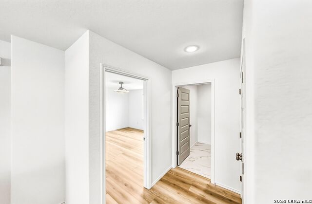 207 Brook Shadow Property Photo 28