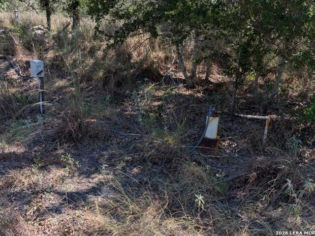 2404 County Road 320 Property Photo 4