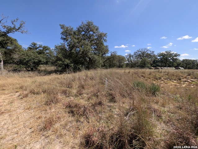 2404 County Road 320 Property Photo 6