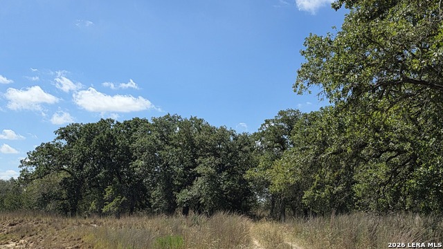 2404 County Road 320 Property Photo 16