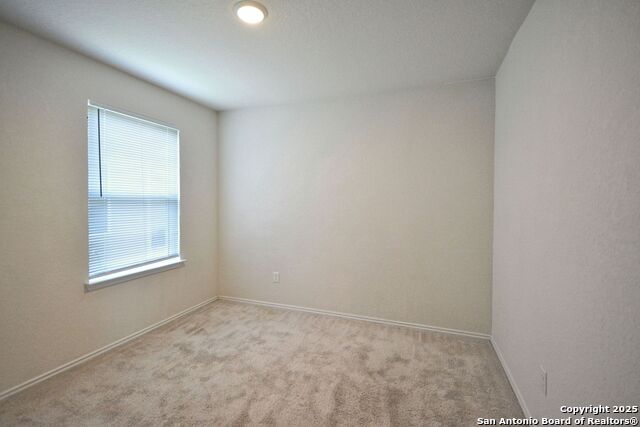 430 Russian Sage Property Photo 16