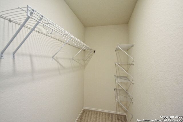 430 Russian Sage Property Photo 24