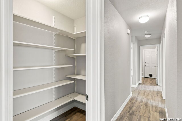 24211 Invitation Oak Property Photo 14