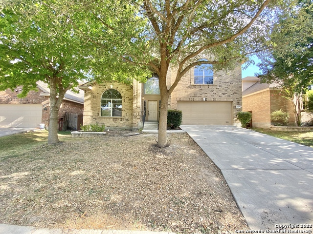 11606 Dense Star Property Photo 2