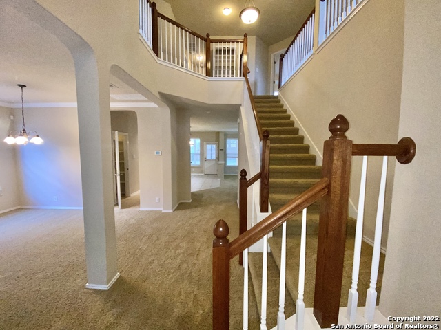 11606 Dense Star Property Photo 3