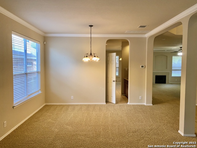 11606 Dense Star Property Photo 4