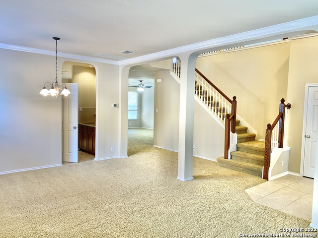 11606 Dense Star Property Photo 5