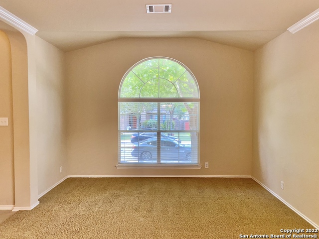 11606 Dense Star Property Photo 6