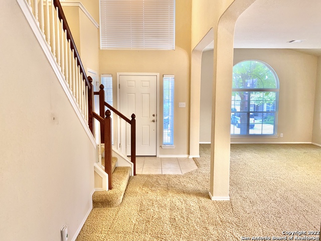 11606 Dense Star Property Photo 7