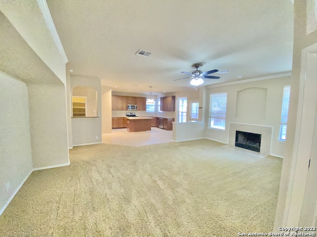 11606 Dense Star Property Photo 8
