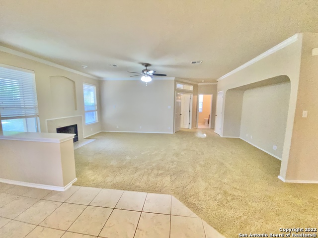 11606 Dense Star Property Photo 12