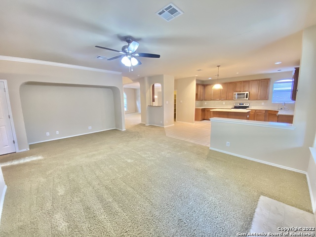 11606 Dense Star Property Photo 13