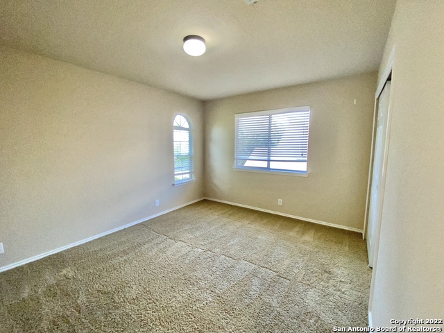 11606 Dense Star Property Photo 19