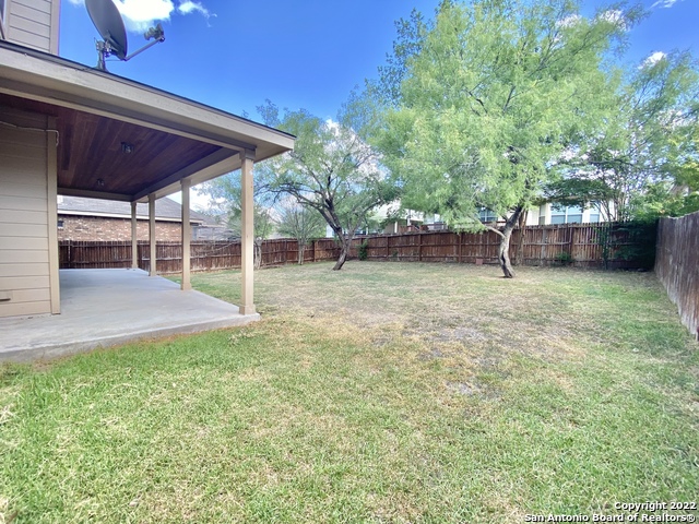 11606 Dense Star Property Photo 25