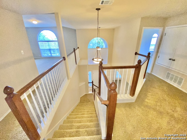 11606 Dense Star Property Photo 28