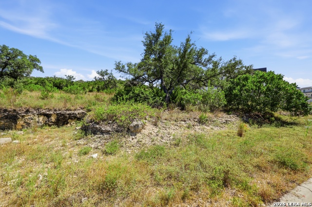 10906 Kendall Canyon Property Photo 10