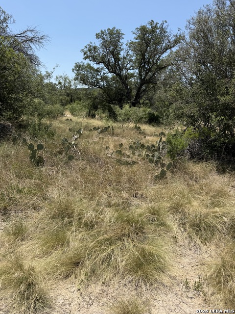Tbd Sd 45425 Property Photo 39