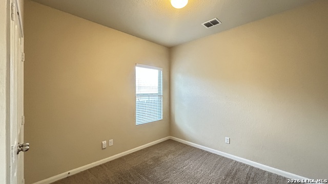 11226 Camp Creek Trl Property Photo 13