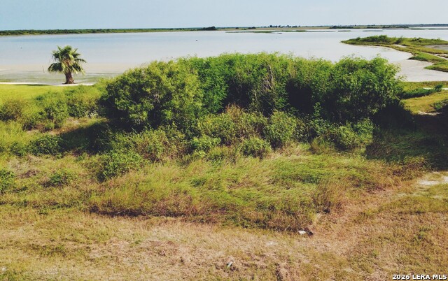 459 Egery Island Road Property Photo 1