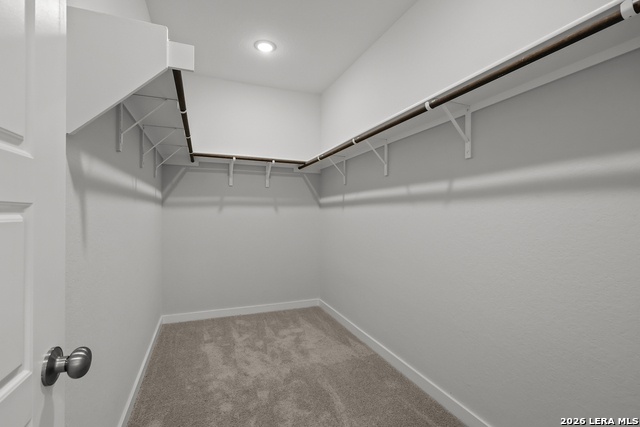 10315 Tule Creek Fork Property Photo 18