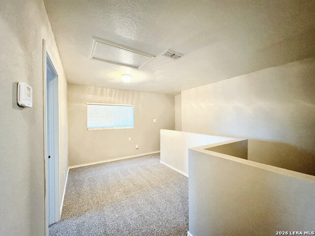 9926 Amber Ledge Property Photo 11