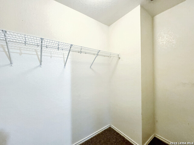 9926 Amber Ledge Property Photo 17