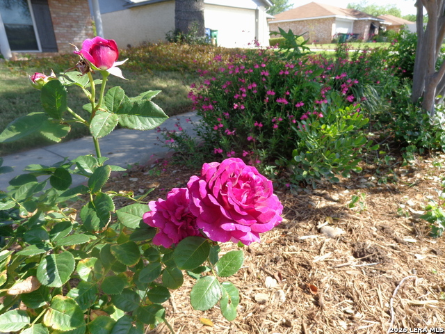 5511 Eaglewood St Property Photo 15