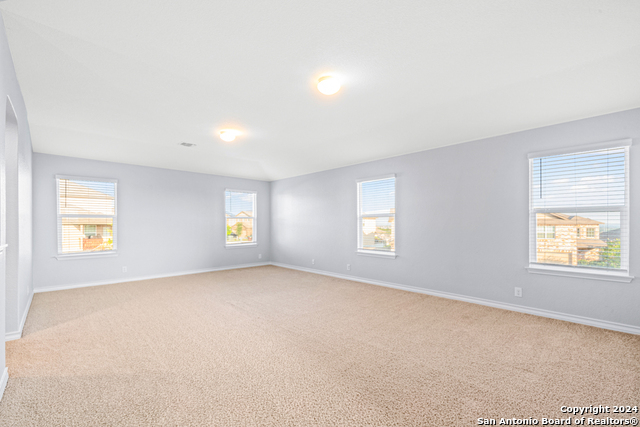 1618 Mossy Jasper Property Photo 24