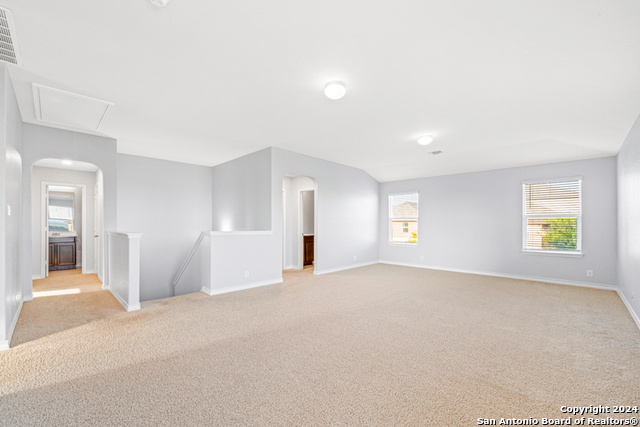 1618 Mossy Jasper Property Photo 29