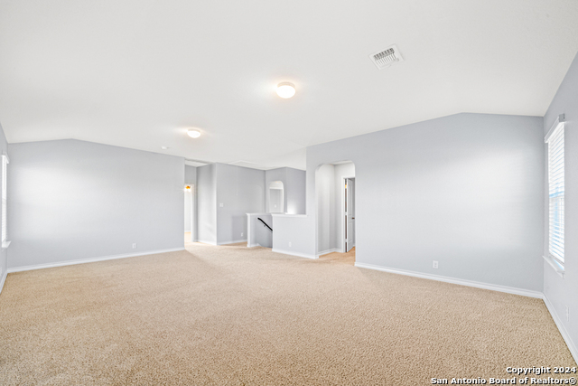 1618 Mossy Jasper Property Photo 30