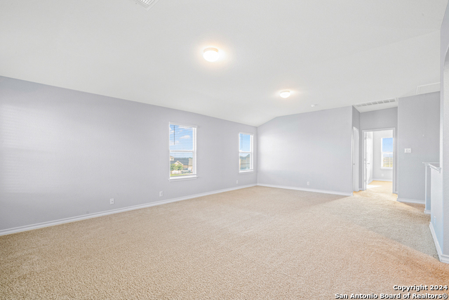 1618 Mossy Jasper Property Photo 31