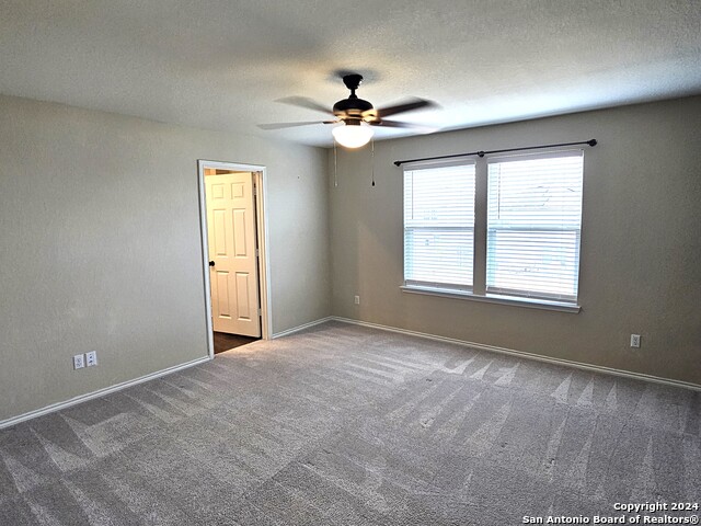 3162 Wild Iris Property Photo 12
