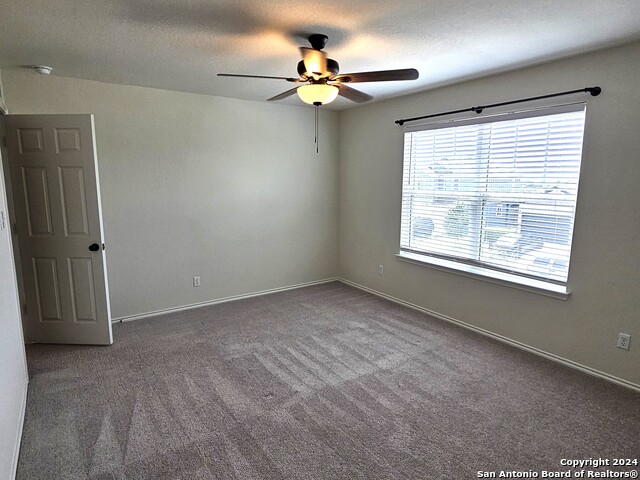 3162 Wild Iris Property Photo 14