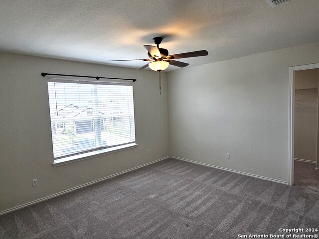 3162 Wild Iris Property Photo 15
